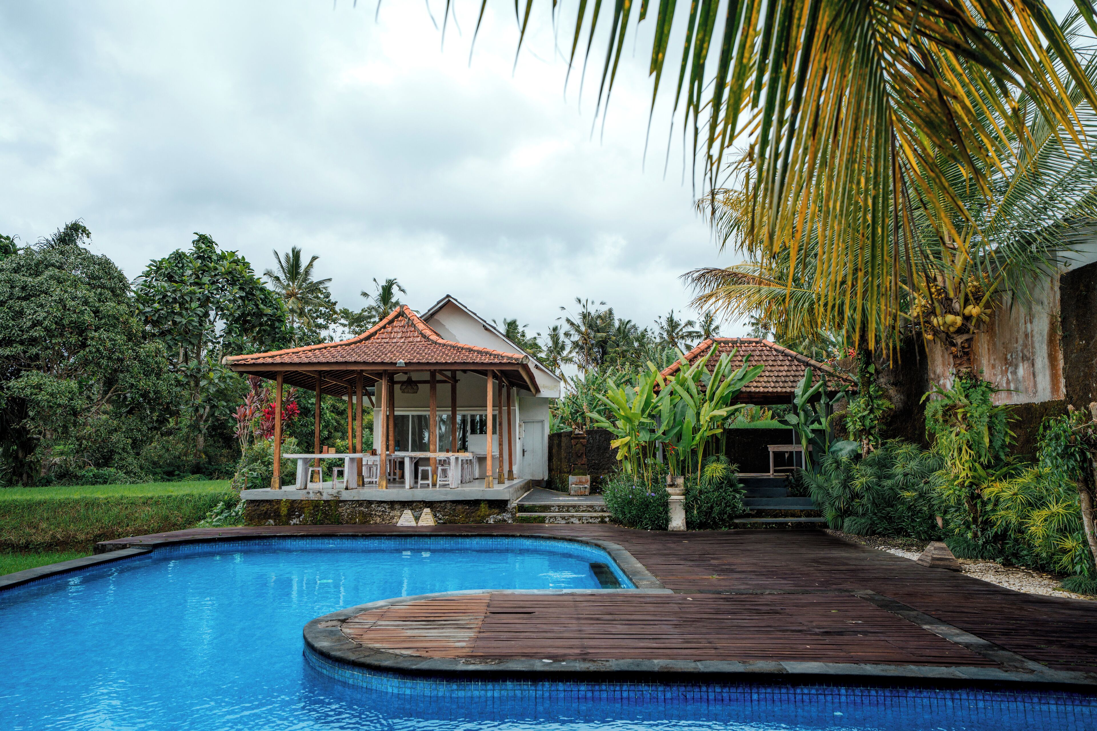 Outdoor pool, open 10:00 AM to 6:00 PM, pool umbrellas, pool loungers