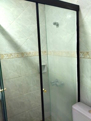 Combined shower/bathtub, bidet
