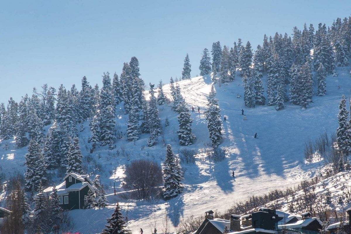 A snow-covered mountain with a ski resort, including buildings and ski slopes.