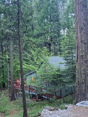 Property grounds - Updated Cabin w/ Fire Pit | Family & Pet Friendly (Long Barn)