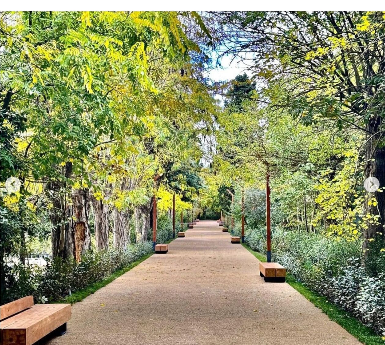Photo - Regal Inn Badamdar