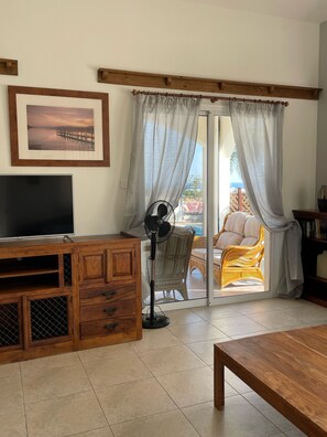 Flat-screen TV, DVD player