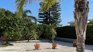 A garden with a palm tree, a conifer, and two potted plants on gravel. - Coral Bay Bungalow (Coral Bay)