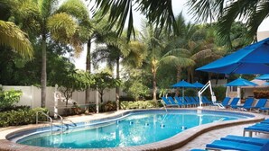 Una piscina con sillas reclinables azules y sombrillas, rodeada de palmeras.