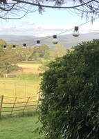 A rural landscape with a hedge in the foreground, a fence, and a string of lights in the background.