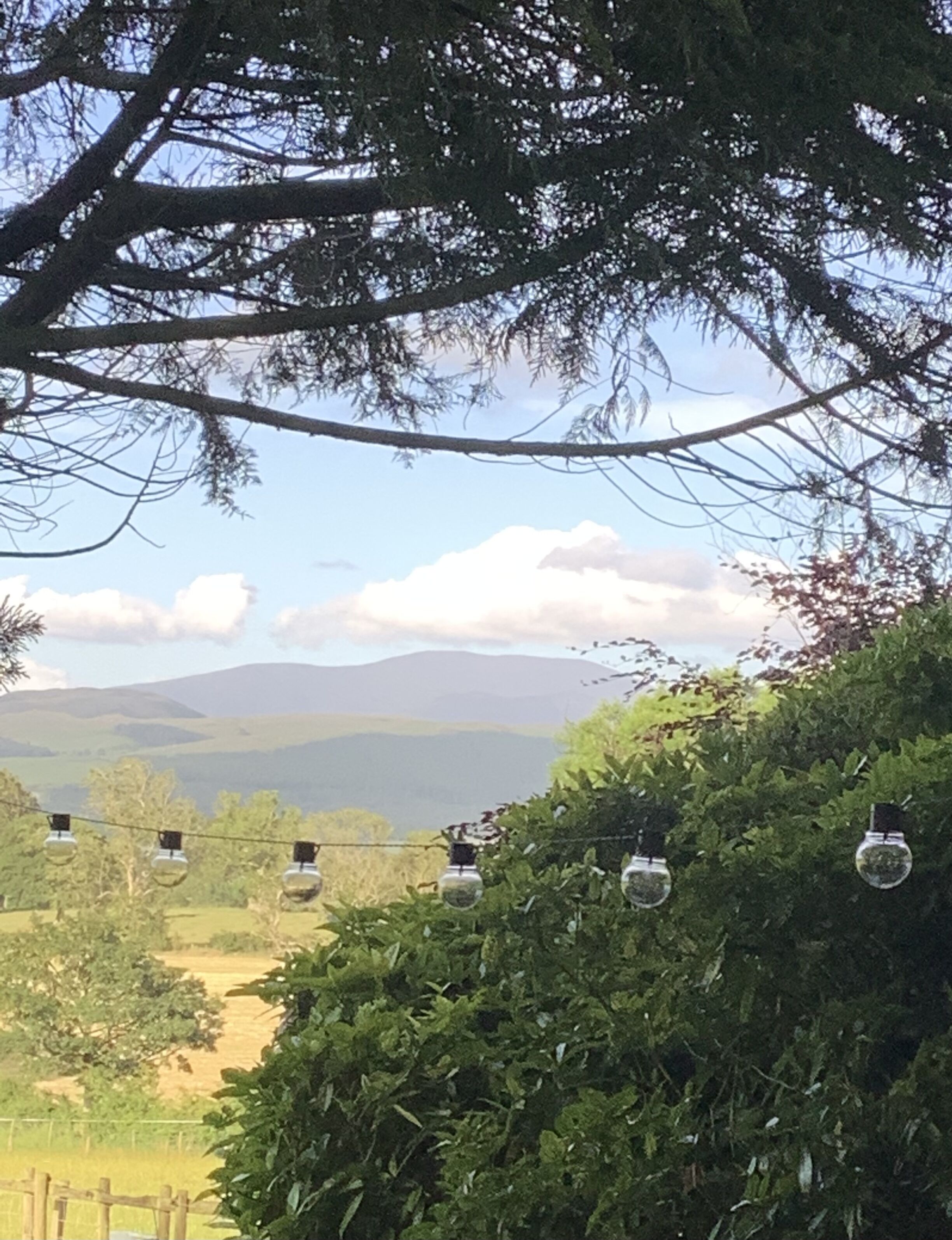 A landscape with a tree, a fence, and a distant mountain range.