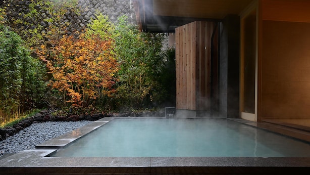A hot spring area with a wooden deck, a stone wall, and a variety of plants.