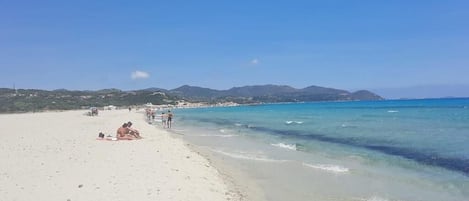 在海滩