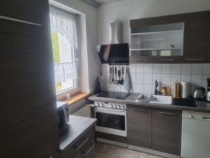 Fridge, microwave, oven, stovetop - The NeueSpreeBlick, directly on the Spree (Burg (Spreewald))