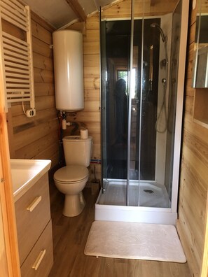 Shower, towels, toilet paper