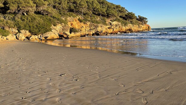 Ein Strand mit einer felsigen Klippe und Bäumen.