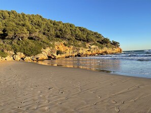 Une plage avec une falaise rocheuse et des arbres.