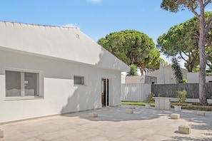 A modern building with a flat roof, large windows, and a paved courtyard with concrete planters.