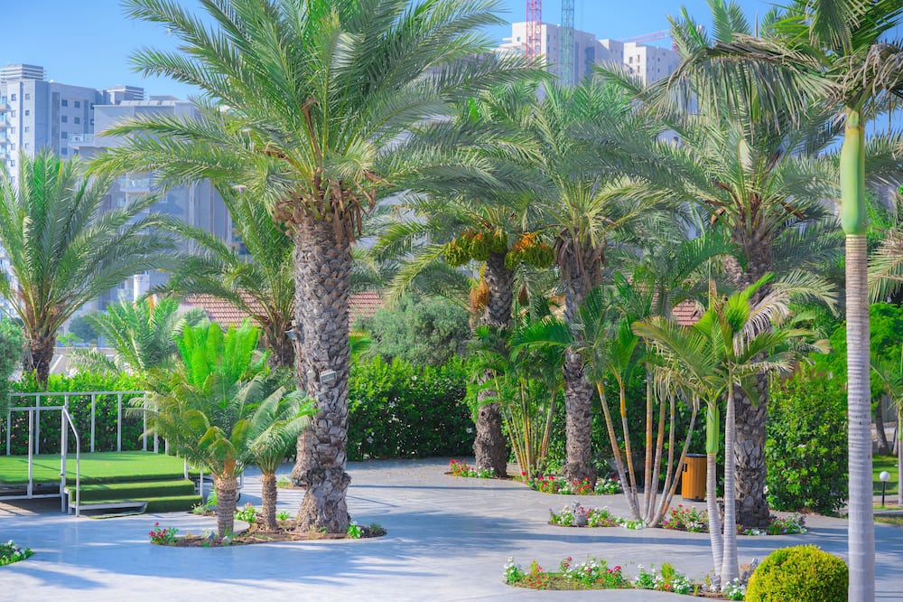 Agamim Hotel