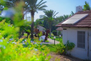 Jardí
