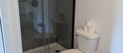 Un baño moderno con ducha acristalada, inodoro blanco y suelo de madera.
