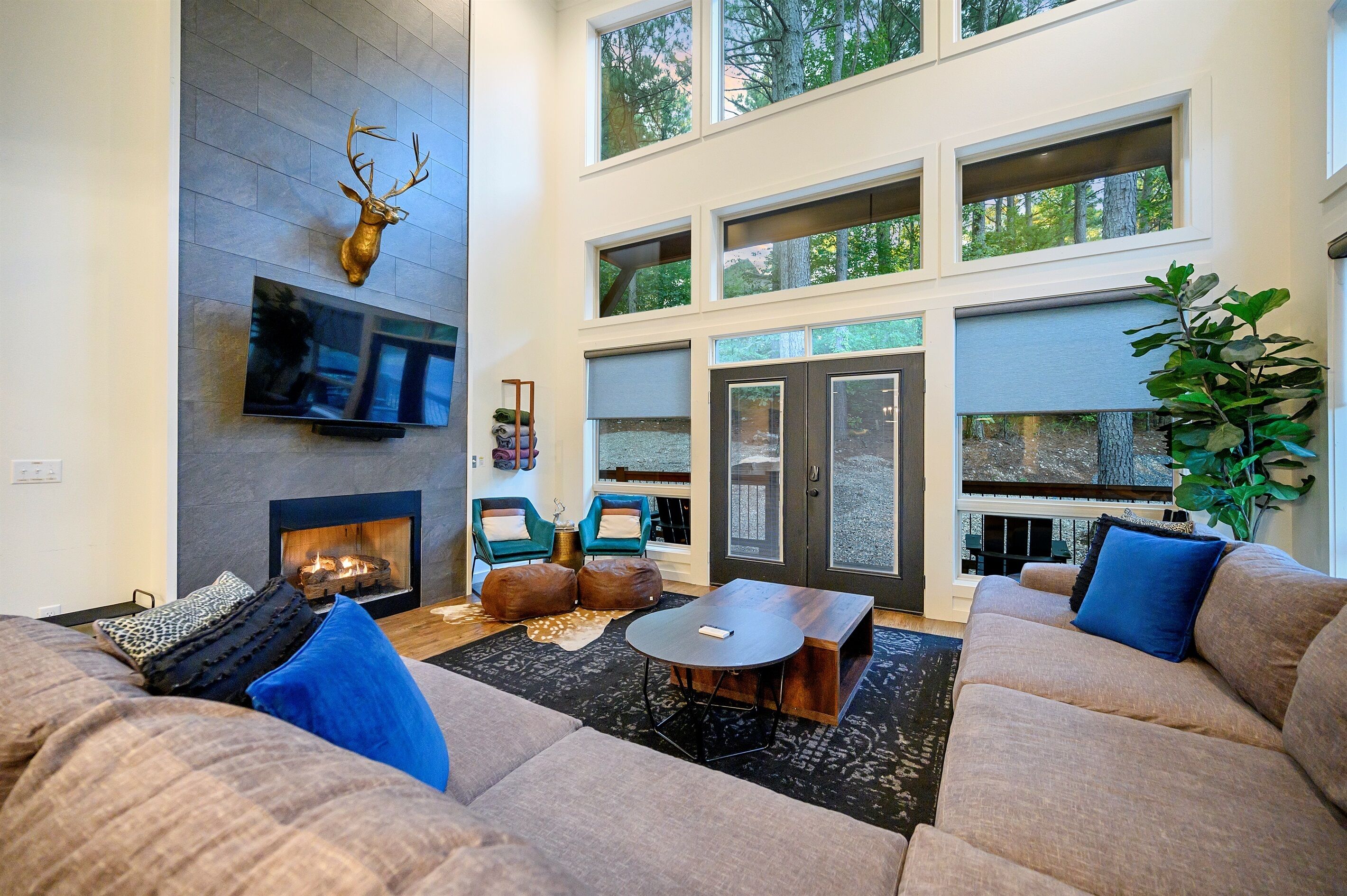 Smart TV, fireplace, stereo