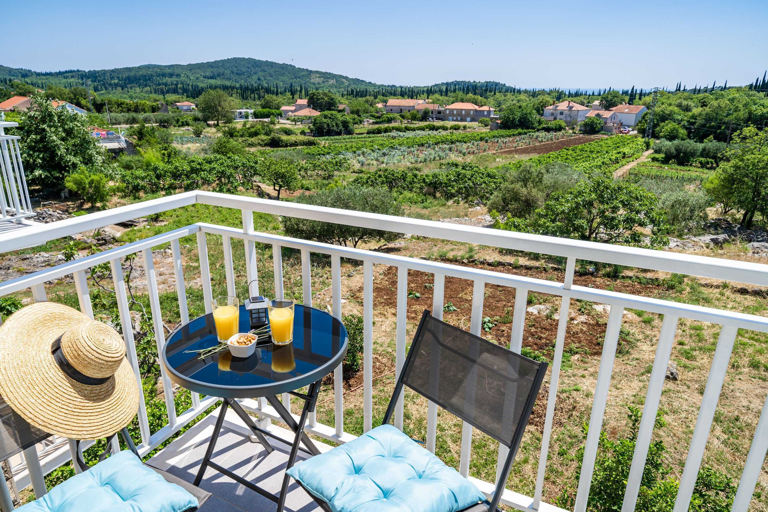 A balcony with a table, chairs, and a view of vineyards and houses.