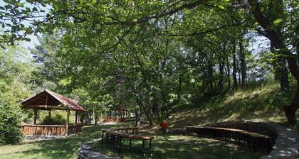 Park Resort Aghveran