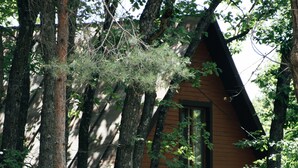 A wooden cabin surrounded by tall trees. - Park Resort Aghveran (Arzakan)