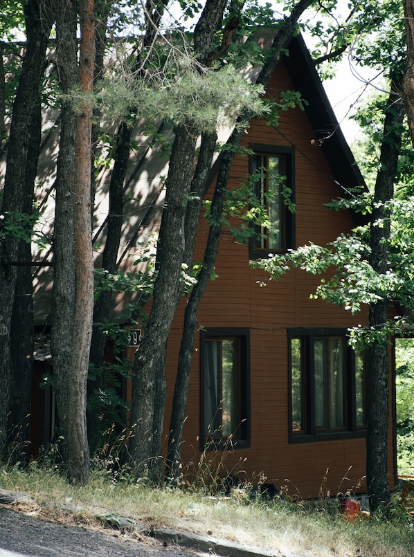 A wooden cabin surrounded by tall trees.