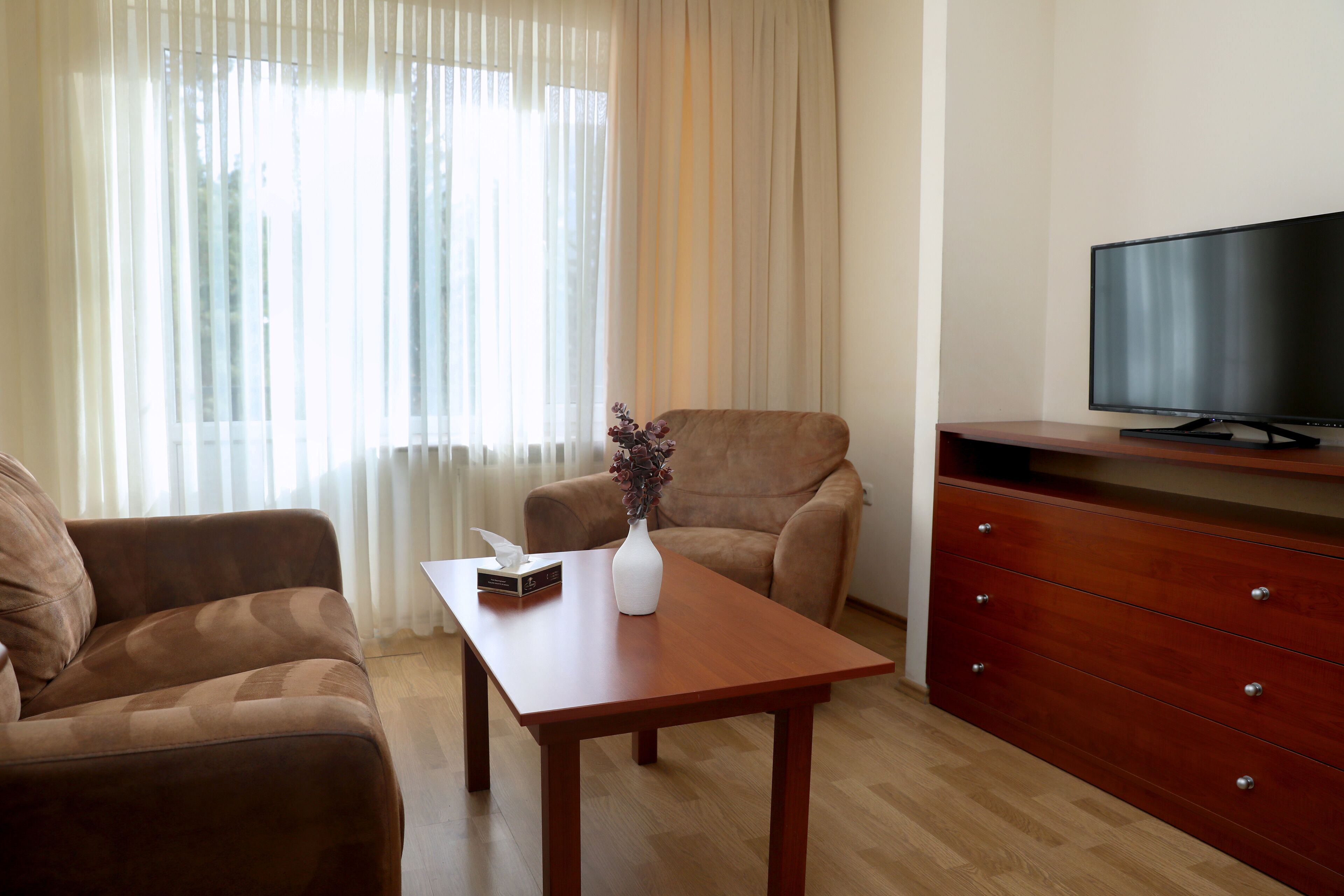 Superior Apartment | Living area