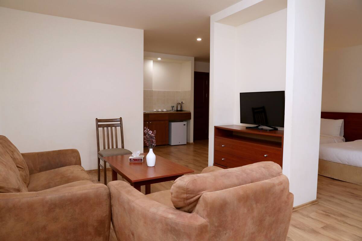 A modern living room with a sofa, a coffee table, and a TV on a wooden stand.