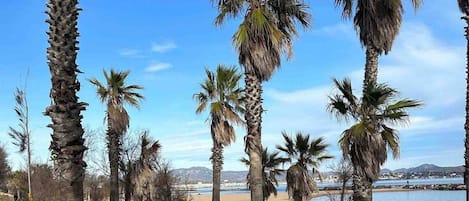 Playa