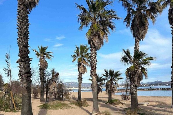 Playa