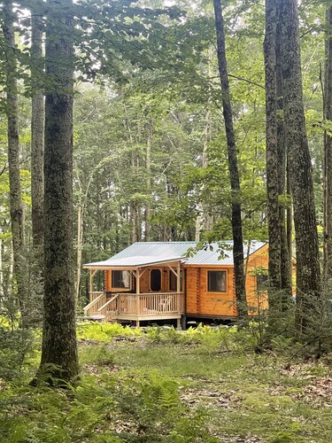 Ricketts Glen Fern View Cabin
