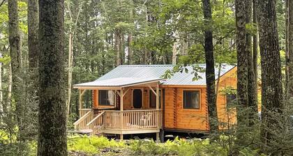 Ricketts Glen Fern View Cabin