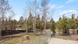 A fenced outdoor area with a gravel path, trees, and a wooden bench. - 602 West 8th — 4BR Leadville Home, Hot Tub, Deck, Dogs OK, On the Mineral Belt (Leadville)