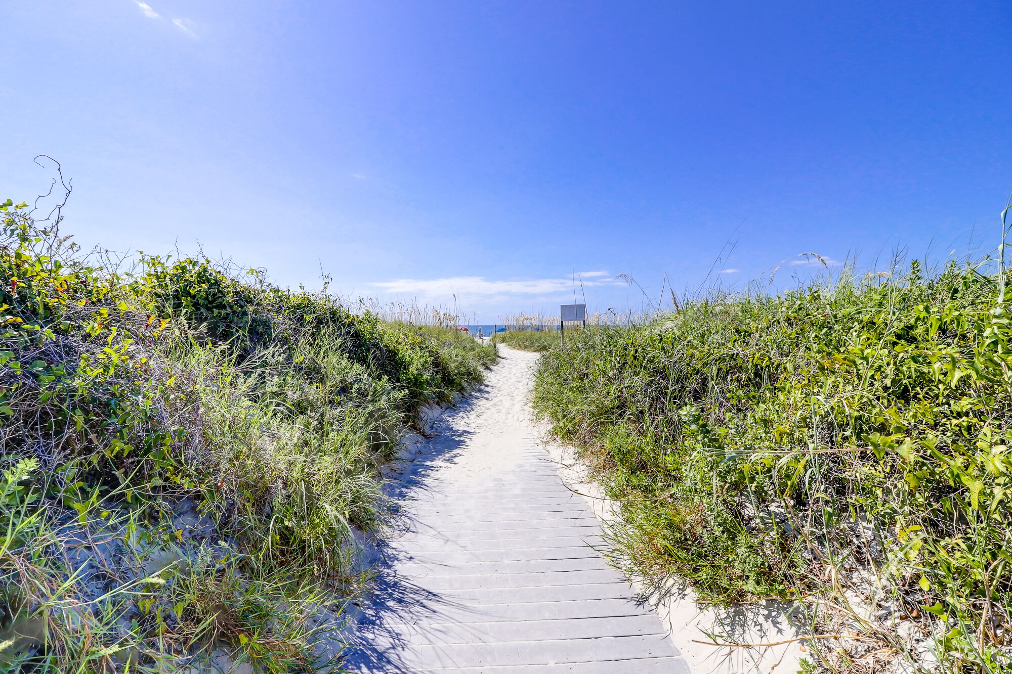 Un sendero que conduce a una playa bordeada por abundante vegetación.