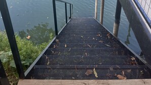 A metal staircase leading down to a body of water, surrounded by greenery and a metal railing.