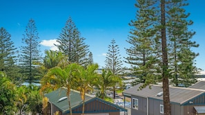 A residential area with multiple houses, some with sloped roofs and others with flat roofs, surrounded by tall pine trees and palm trees. - Crystal Waters 2, 2 Munster Street (PORT MACQUARIE)
