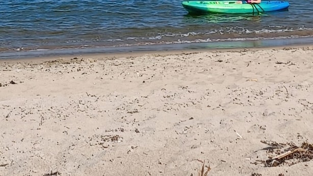Une plage avec des kayaks et une personne qui rame.