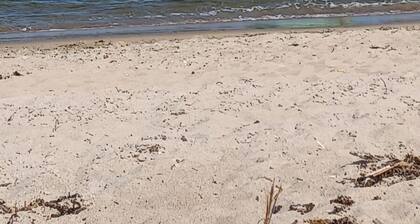 250 Feet from the Ocean!