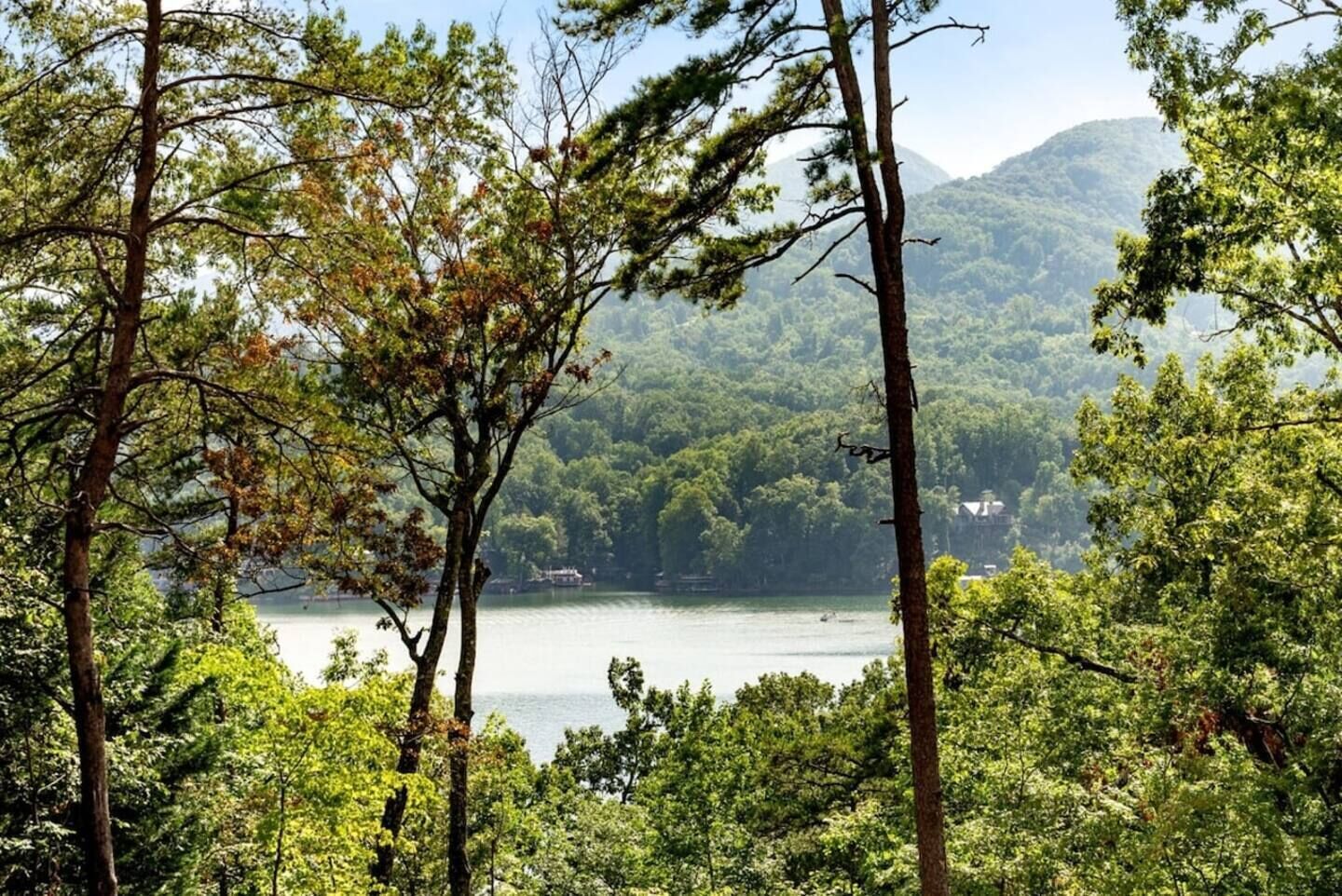 Front Porch View  of Lake and Mountains in summer