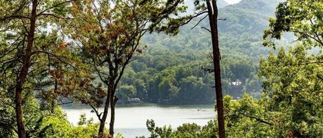 Front Porch View of Lake and Mountains in summer