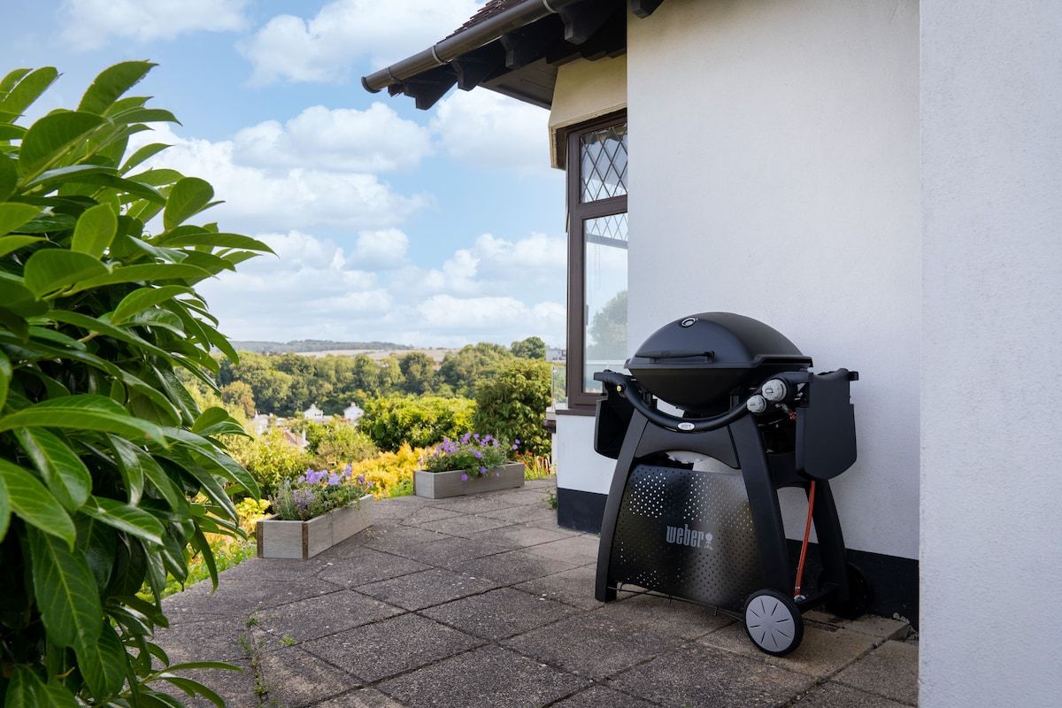 A patio with a barbecue grill, a potted plant, and a view of the countryside.
