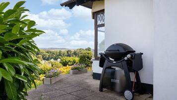A patio with a barbecue grill, a potted plant, and a view of the countryside.