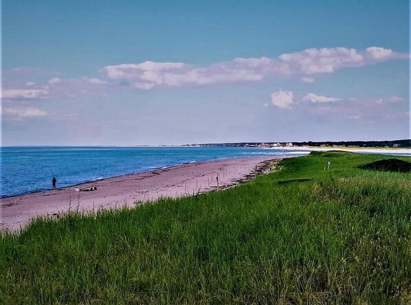 Enjoy a serene beachside escape with access to the sandy shore.