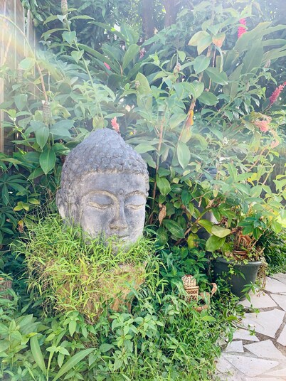 马提尼克生态旅馆