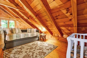 TV, fireplace, books