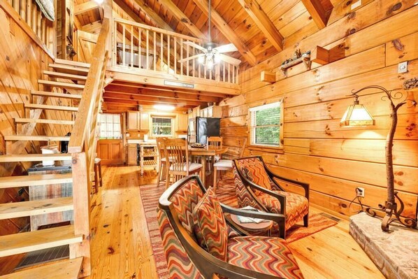 TV, fireplace, books