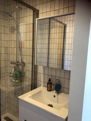 Ensemble douche/baignoire, sèche-cheveux, serviettes fournies