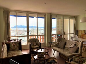 Televisio, DVD-soitin, kirjoja, musiikkikirjasto