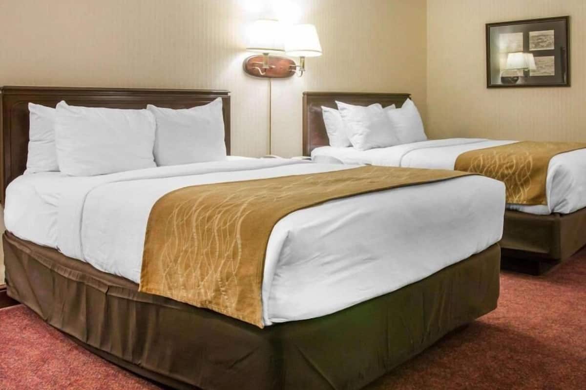 Habitación de hotel con dos camas, cada una con ropa blanca y una manta marrón. Hay una lámpara entre las camas y un cuadro enmarcado en la pared.