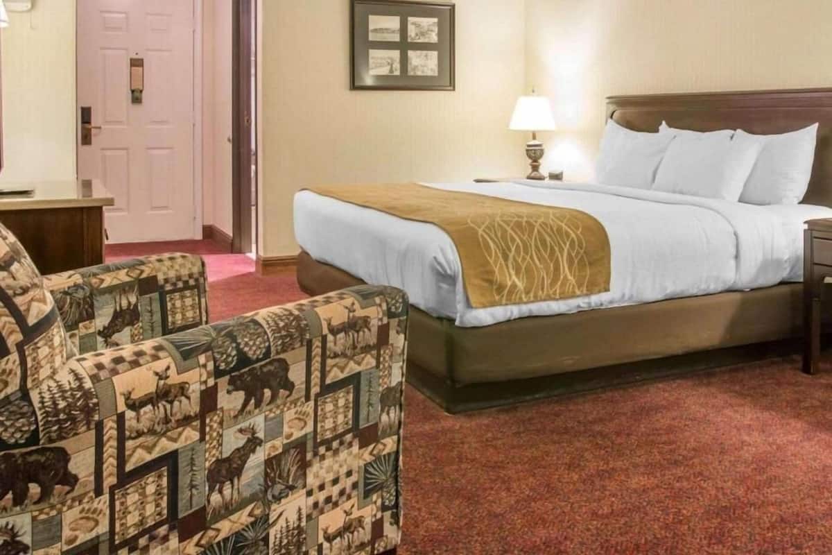 Una habitación de hotel con cama, una silla, una mesita de noche, una lámpara y una puerta.