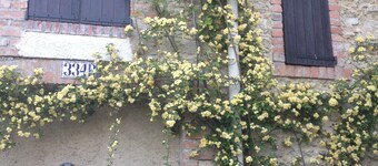  Character House with private pool 